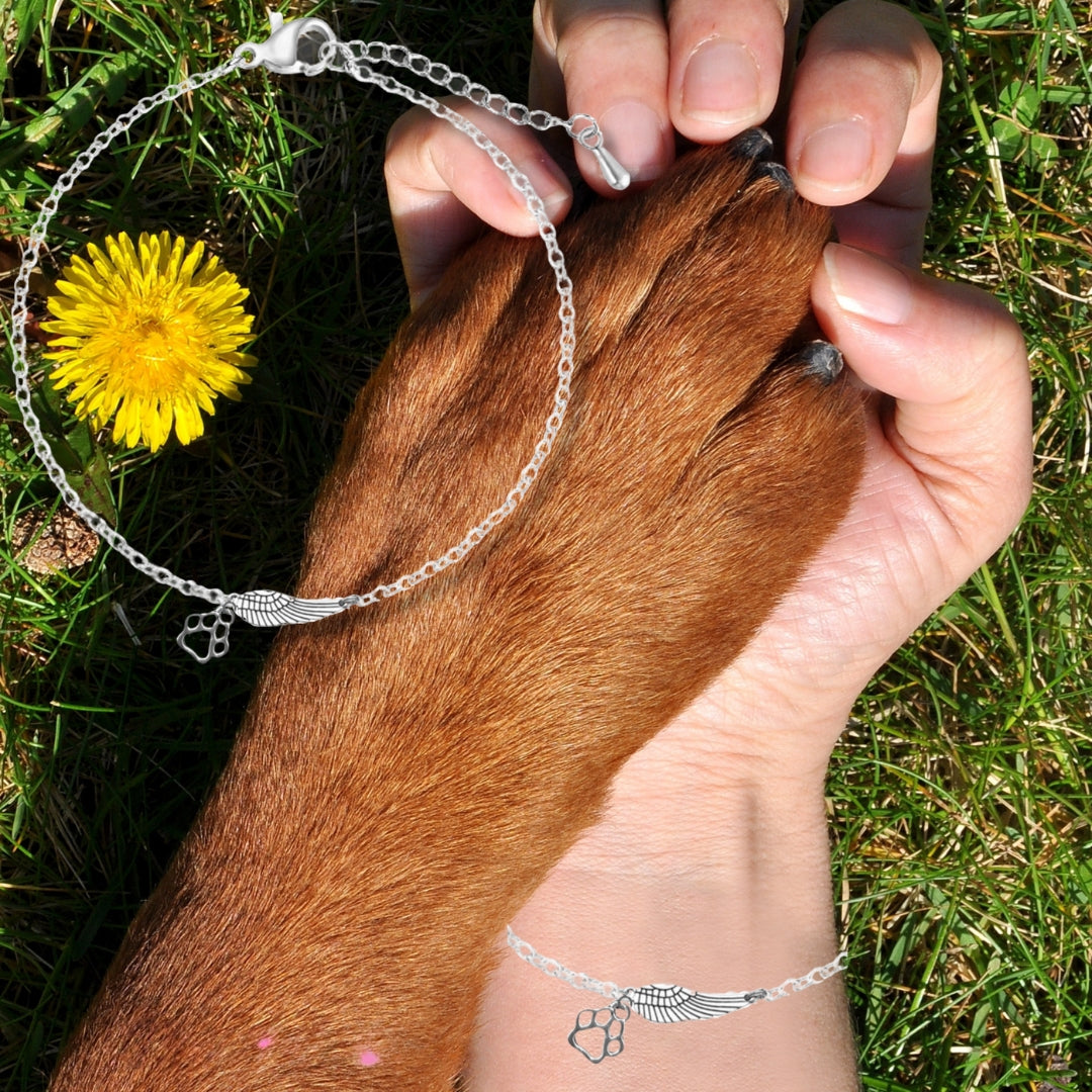 Elara – Angel Wing Paw Bracelet